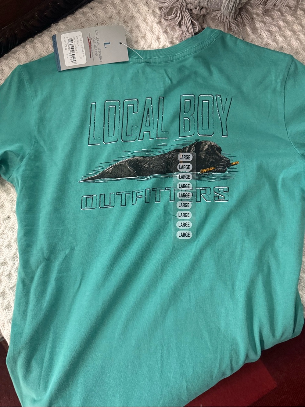 Boys Teal Graphic Tee